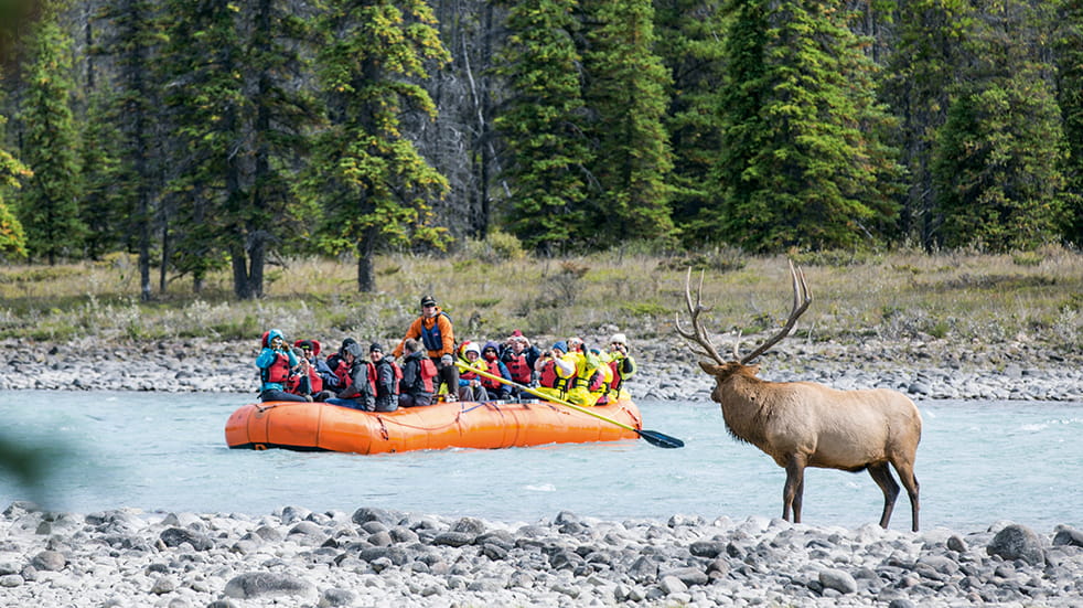 Tropical Sky holiday destinations: Rocky Mountains in Canada, boat trip on the Athabasca River